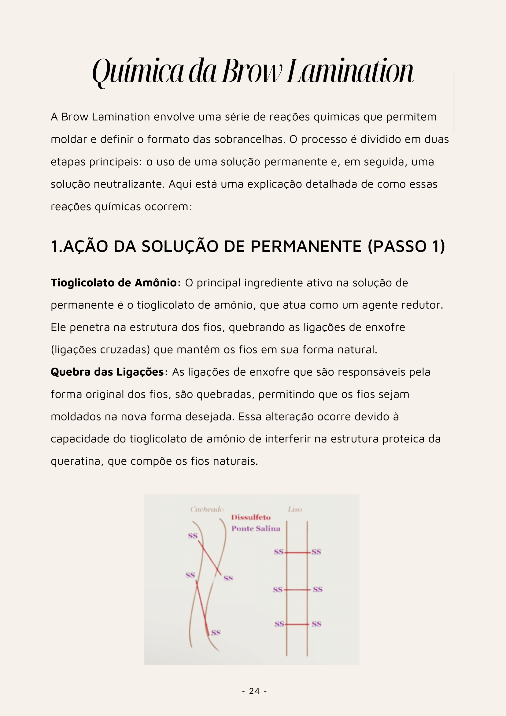 Página interna da apostila
